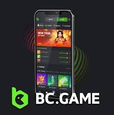 Experience the Thrill of BC.Game Online Casino in Romania