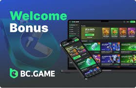 Understanding BC.Game Customer Support in Nigeria Understanding BC.Game Customer Support in Nigeria
